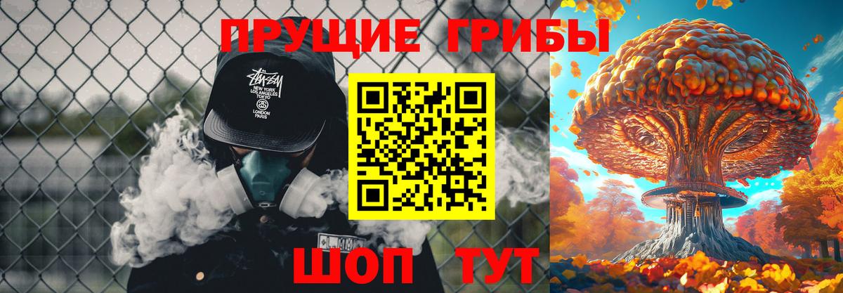 Псилоцибиновые грибы GOLDEN TEACHER Моздок
